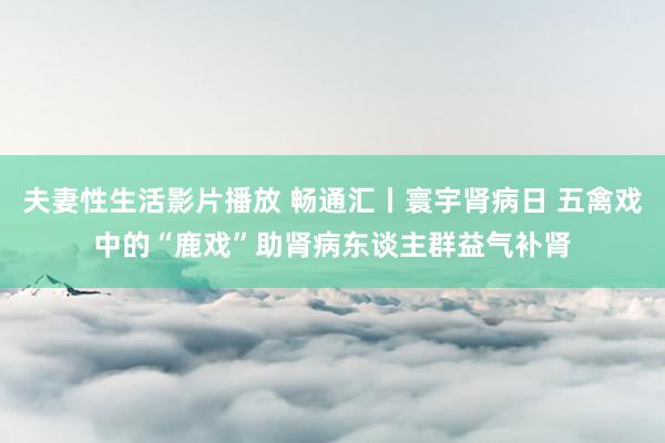 夫妻性生活影片播放 畅通汇丨寰宇肾病日 五禽戏中的“鹿戏”助肾病东谈主群益气补肾