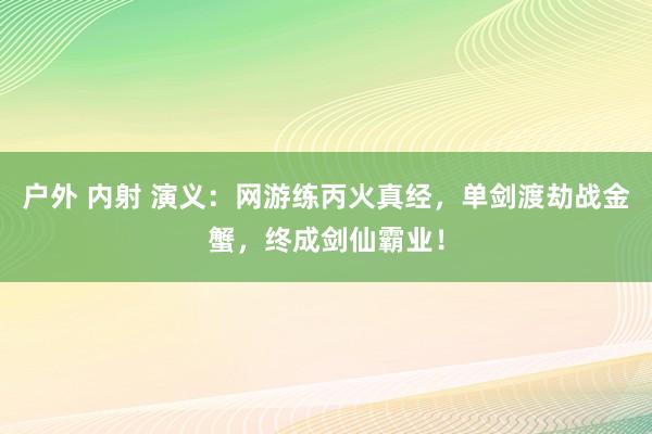 户外 内射 演义：网游练丙火真经，单剑渡劫战金蟹，终成剑仙霸业！
