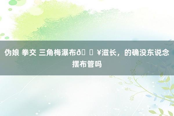 伪娘 拳交 三角梅瀑布💥滋长，的确没东说念摆布管吗