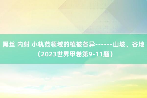 黑丝 内射 小轨范领域的植被各异------山坡、谷地（2023世界甲卷第9-11题）