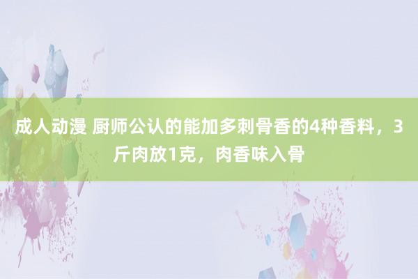 成人动漫 厨师公认的能加多刺骨香的4种香料，3斤肉放1克，肉香味入骨